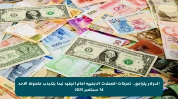 الدولار يتراجع.. تحركات العملات الأجنبية أمام الجنيه تبدأ بتذبذب ملحوظ الأحد 14 سبتمبر 2025